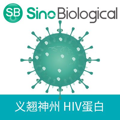 HIV gp120 蛋白|HIV gp120 protein|HIV gp120(HIV, His Tag)