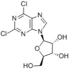 13276-52-3/ 2,6-二氯嘌呤核苷,97%