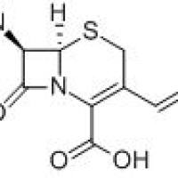 120709-09-3/头孢丙烯母核