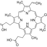 553-12-8/	 原卟啉 ,	≥95%