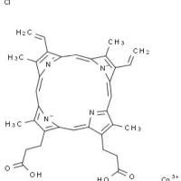 102601-60-5/原卟啉氯化