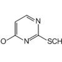 5751-20-2/	 2-甲硫基-4-羟基嘧啶 ,	分析标准品,HPLC≥98%