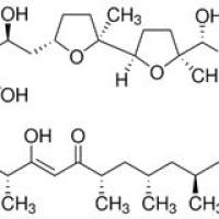 56092-81-0/	 离子霉素,	≥98%(HPLC)