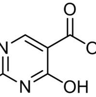 53554-29-3/ 1,4-二氢-2-甲巯基-4-氧代-5-嘧啶甲酸乙, 95%