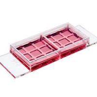 德国ibidi µ-Slide 2孔共培养81806