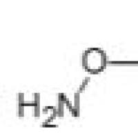 110220-55-8/	 DEUTERO-METHOXYAMINE-D3 HCL ,	分析标准品,