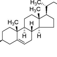 604-32-0/	 苯甲酸胆固醇酯 ,	98%