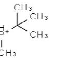 479094-62-7/	 二叔丁基甲基膦四,	>98.0%(T)