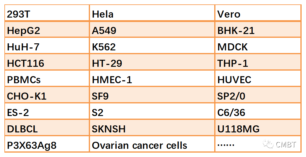 Chamot乔默生物转染试剂