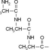 584-90-8/	 丙氨酰丙氨酰丙氨酸,	98%