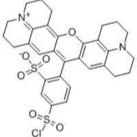 82354-19-6/磺基罗丹明101磺酰氯