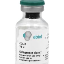 COL G，I型重组胶原酶