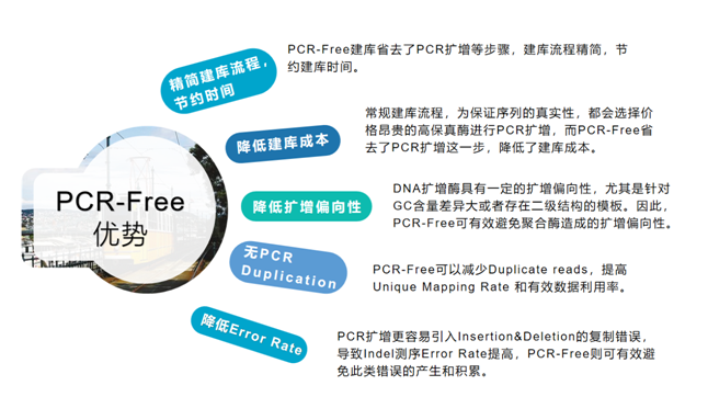 酶切法PCR-Free建库，1h/1ng极速建库