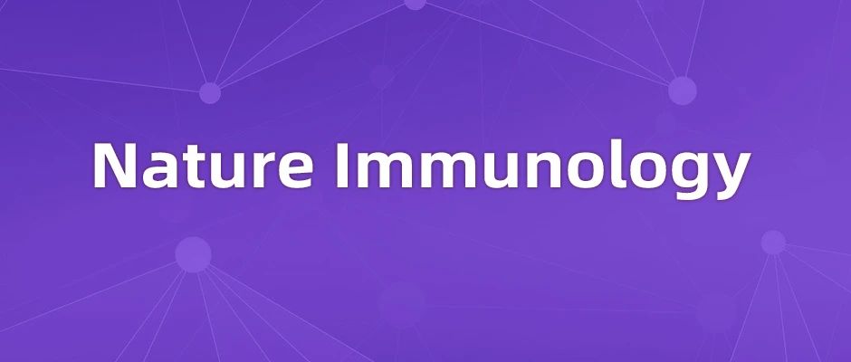 Sh2b1敲除小鼠-瘦素促进减肥的关键机制