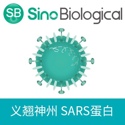 SARS-CoV Spike/S1 Protein (S1 Subunit, His Tag)