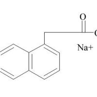 61-31-4/	 1-萘乙酸钠,	95%（HPLC）