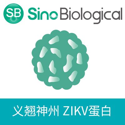 Zika virus (ZIKV) (strain Zika SPH2015) ZIKV-E / Envelope protein (Domain III, His Tag)