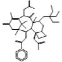 115437-21-3/7-O-(三乙基硅）巴卡汀III