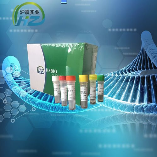 嵴病毒染料法荧光定量RT-PCR试剂盒