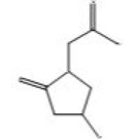 88929-35-5/	 S-(-)-Oxiracetam ,97%