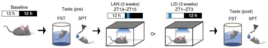  熬夜玩手机容易导致抑郁?