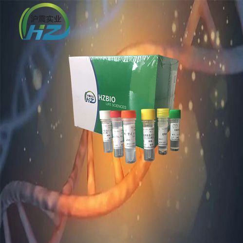 甲型流感病毒H1N2亚型染料法荧光定量RT-PCR试剂盒