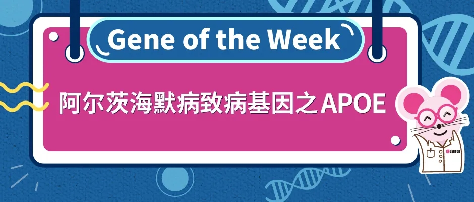 阿尔茨海默病致病基因之APOE