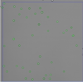还在为细胞数量和活率分析的可靠性和一致性烦恼吗？让 Vi-CELL BLU帮您消除这些困扰！