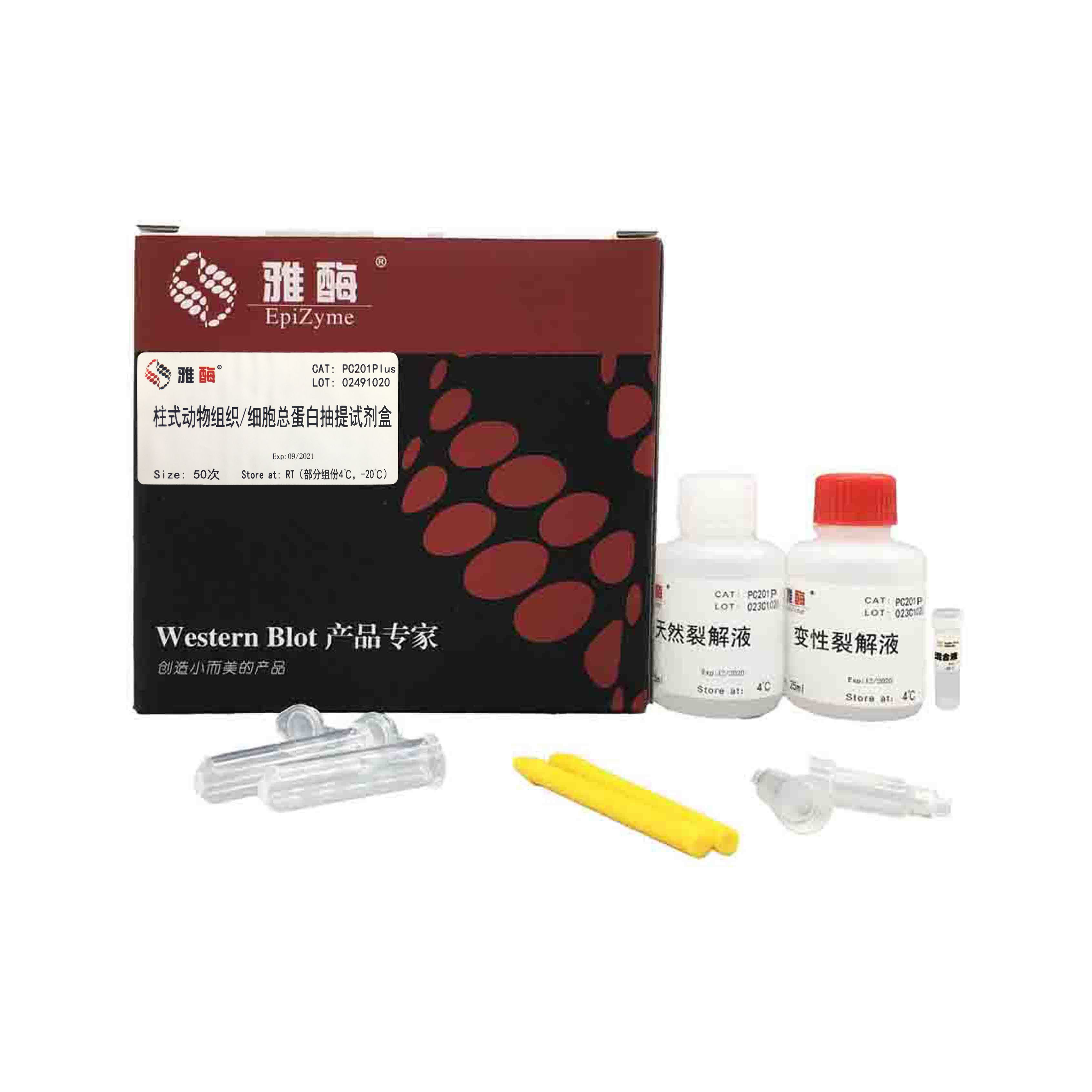 PC201plus 柱式动物组织/细胞总蛋白抽提试剂盒（含蛋白酶抑制剂混合液）