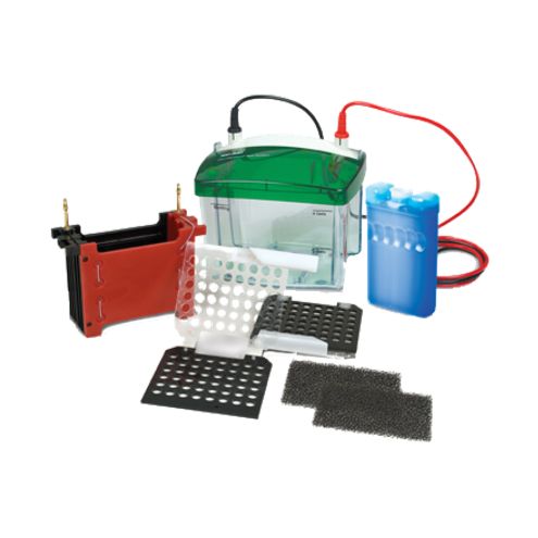 SH-ZYZ10T 蛋白转印槽