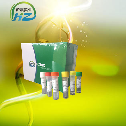 桔青霉染料法荧光定量PCR试剂盒