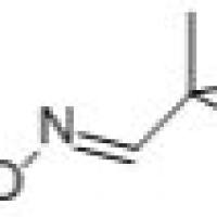 637-91-2/新戊醛肟