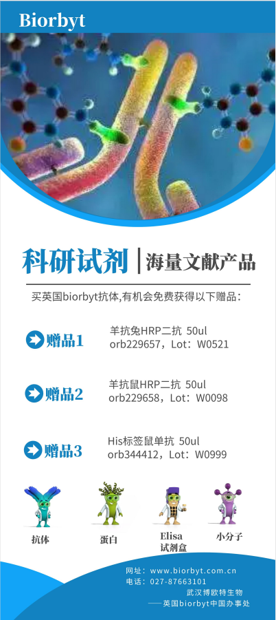 赠送二抗和标签单抗活动