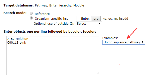 干货分享丨代谢组学三个常用网站使用介绍