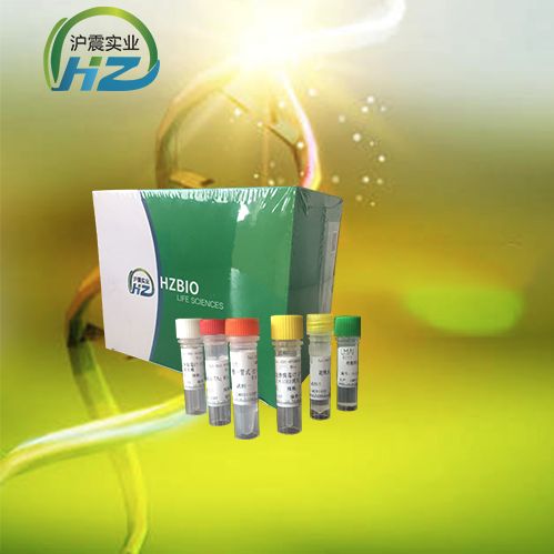 Meta肺炎病毒染料法荧光定量RT-PCR试剂盒