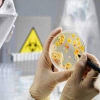 微生物检测|微生物检测服务