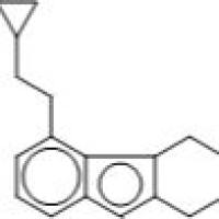 58457-32-2/5-(Oxiranylmethoxy)-2,3,4,9-tetrahydrocarbazole , 分析标准品,HPLC≥98%