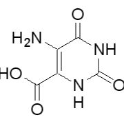 7164-43-4/5-氨基乳清酸 , 98%
