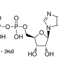 72696-48-1/ 腺苷-5'-二酸单钾盐二水合物 ,≥95%