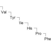 70937-97-2/ 血管紧张素I, 97%