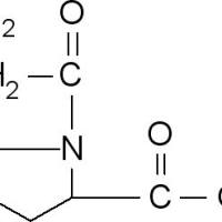 704-15-4/	 甘氨酸-L-脯氨酸,	98%