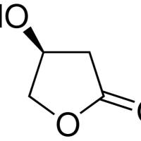 7331-52-4/	 (S)-(-)-β-羟基-γ-丁内,	85%