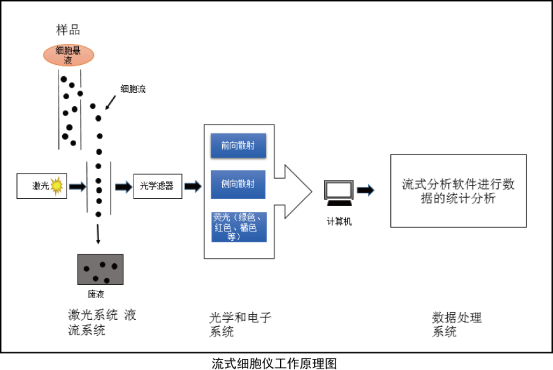 流式细胞术的简介-公司新闻-普健生物(武汉)科技有限公司