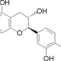 225937-10-0/	 (+)-儿茶素 水合物,	≥95%(HPLC)