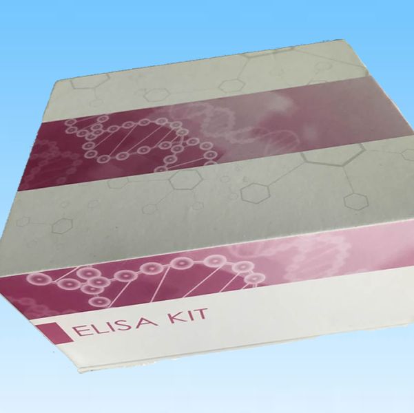 Dystrophin ELISA Kit