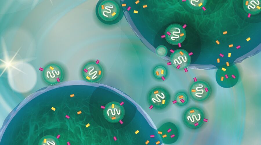 第二届外泌体治疗发展峰会邀请函