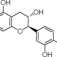 7295-85-4/ (+/-)-儿茶精, 分析标准品,HPLC≥98%