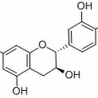 154-23-4/	 (+)-儿茶素 ,	分析标准品,HPLC≥98%