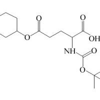 73821-97-3/	 叔丁氧羰基-L-谷氨酸 5-环己酯,	98%
