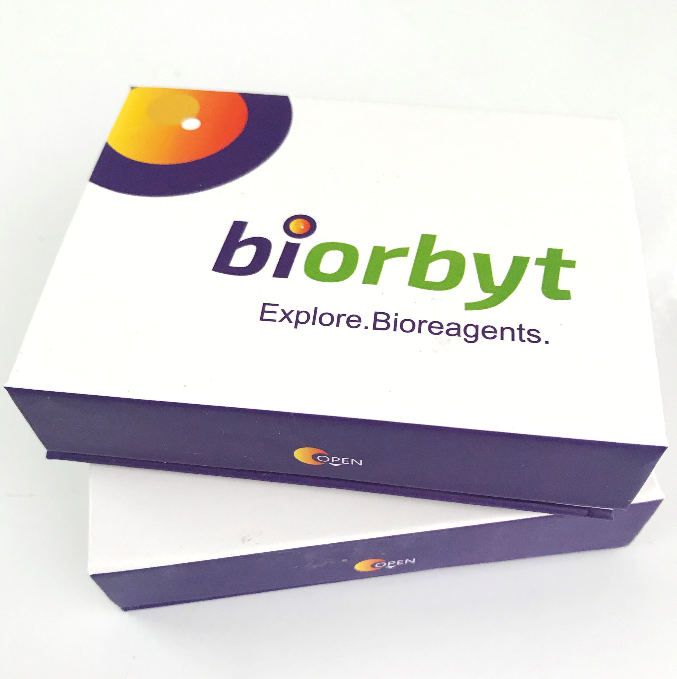 5-HT (Serotonin) antibody,orb176238,biorbyt